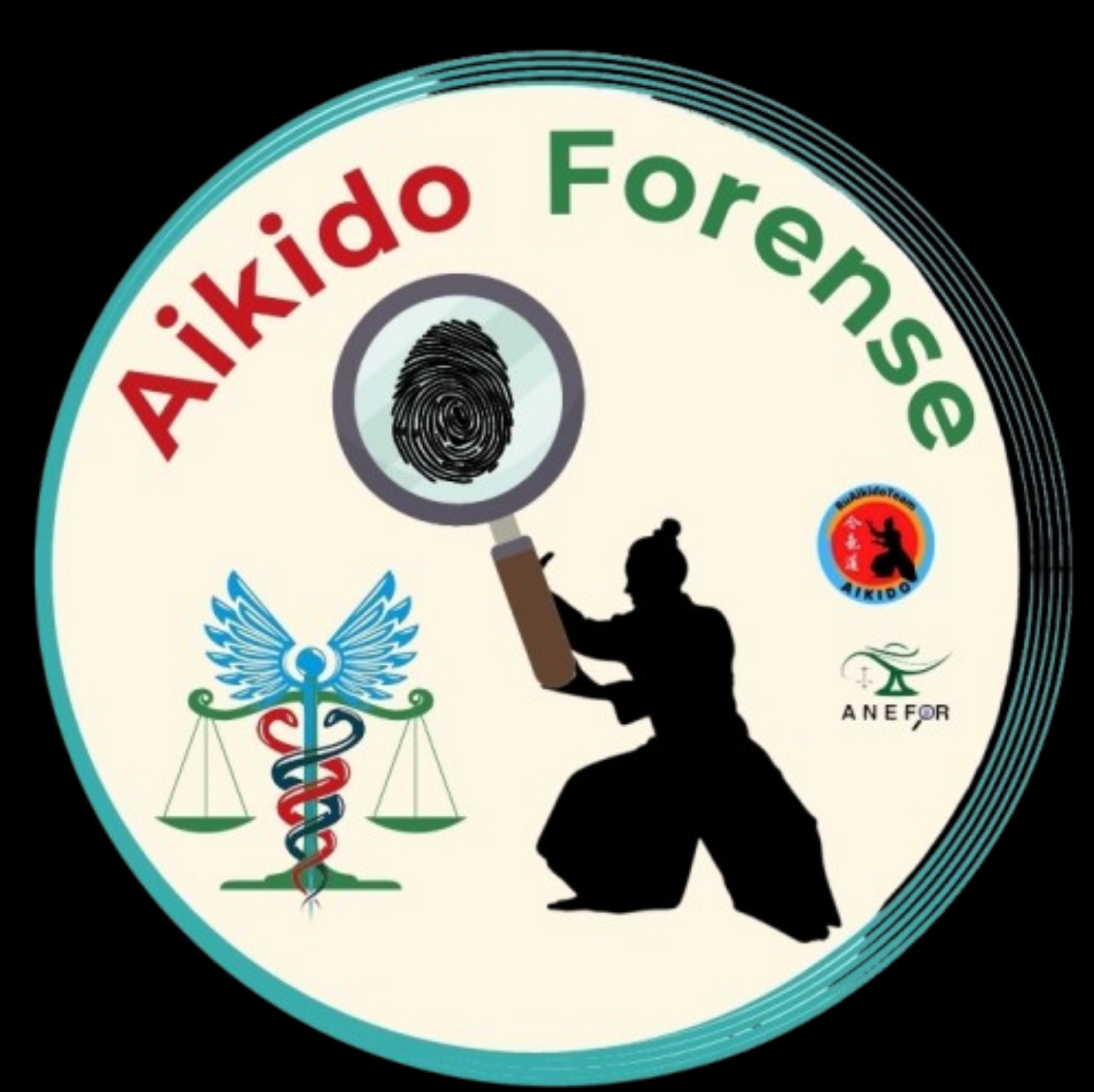 Aikido Forense